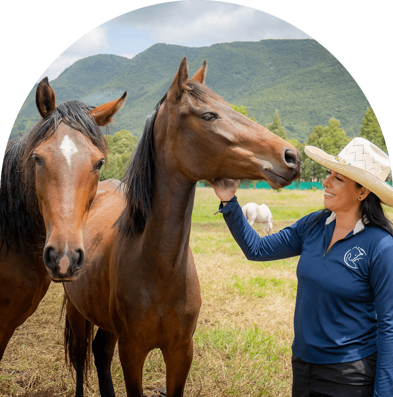 Persona y caballos